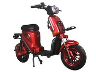 Pristatymas Elektrinis dviratis išsinešimui ličio