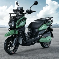 Elektrinis motociklas 3000 W didelės galios ličio baterijos suaugusiųjų visureigis motociklas